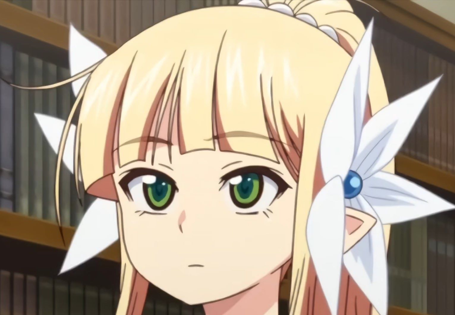 守护骑士艾露菲娜的堕落动漫OVA番剧视频讲啥，守护精灵公主的骑士