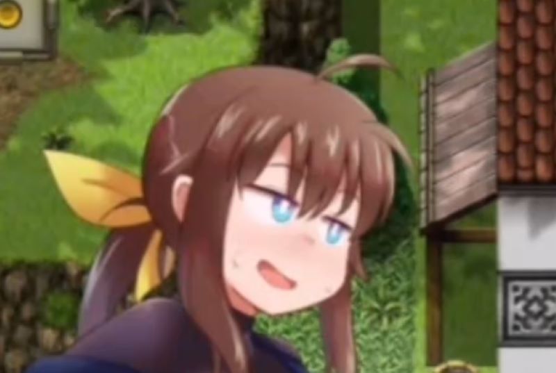 便利屋诺娜绝不随波逐流安卓PC汉化版什么游戏,心血来潮开了便利屋