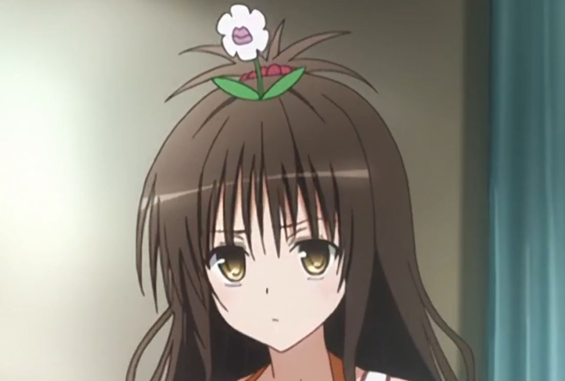 出包王女结城美柑感染花粉是哪一集，美柑头上长了一朵花