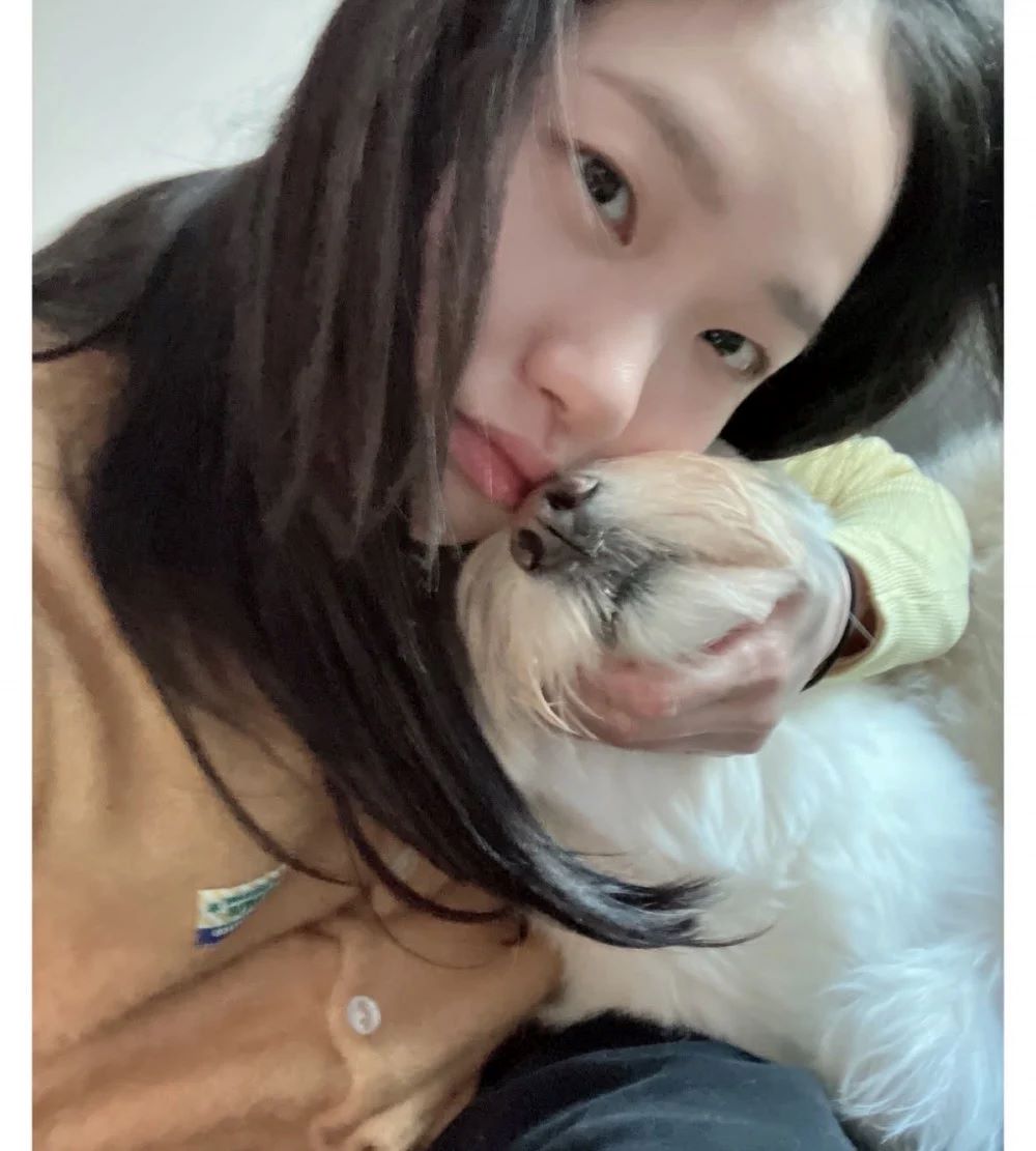 金高银悼念离世的爱犬月儿，从领养开始一起度过了四年的时光