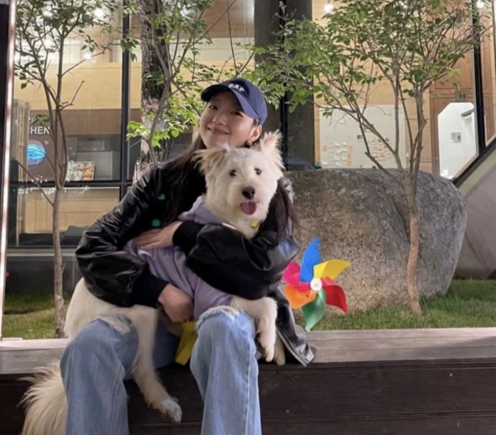 金高银悼念离世的爱犬月儿，从领养开始一起度过了四年的时光