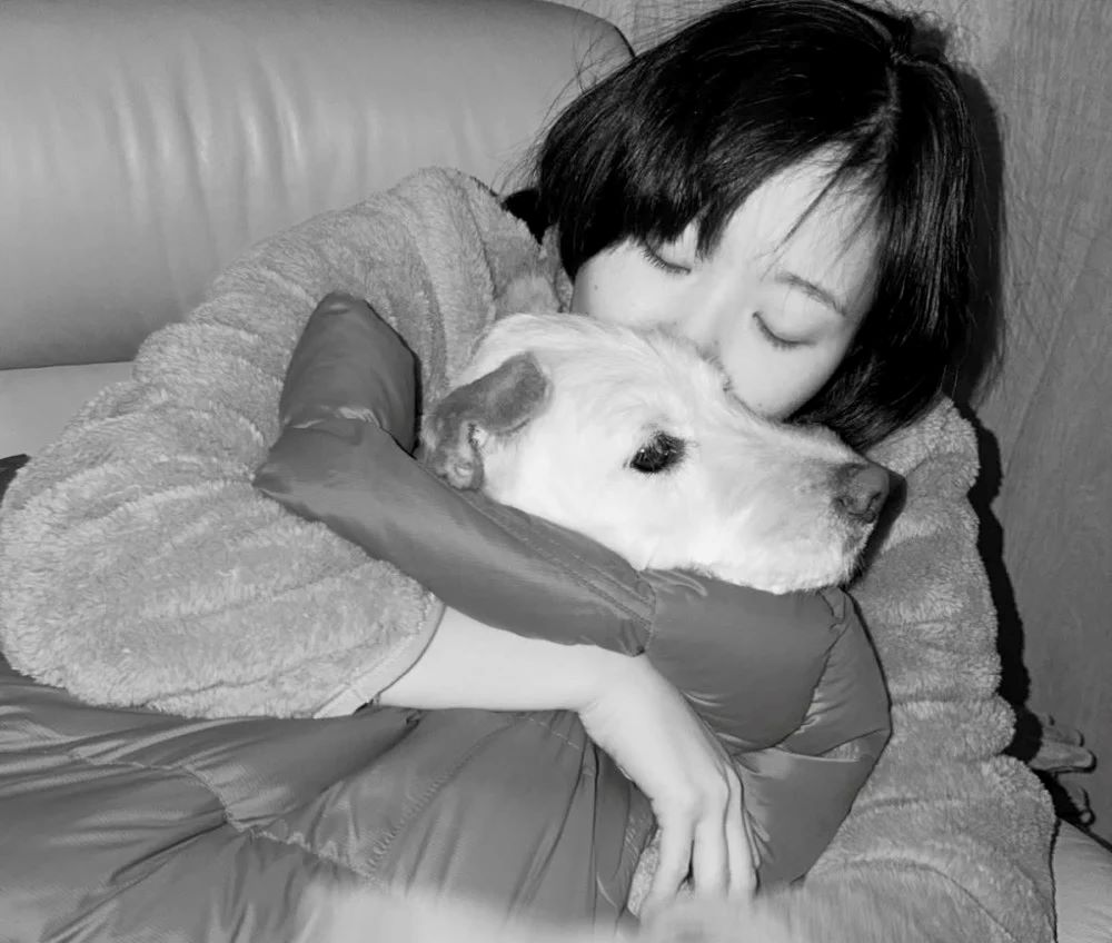 金高银悼念离世的爱犬月儿，从领养开始一起度过了四年的时光