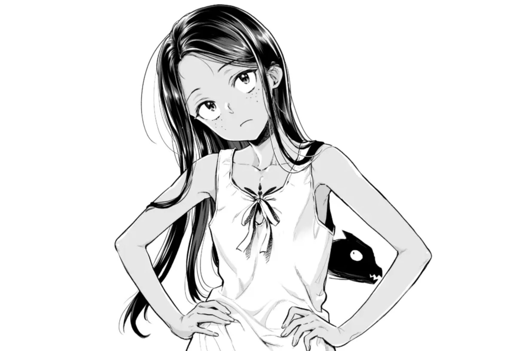 冒牌炼金术师动画化，原作者杉浦次郎与作画梅丸联合绘制纪念插画并寄语