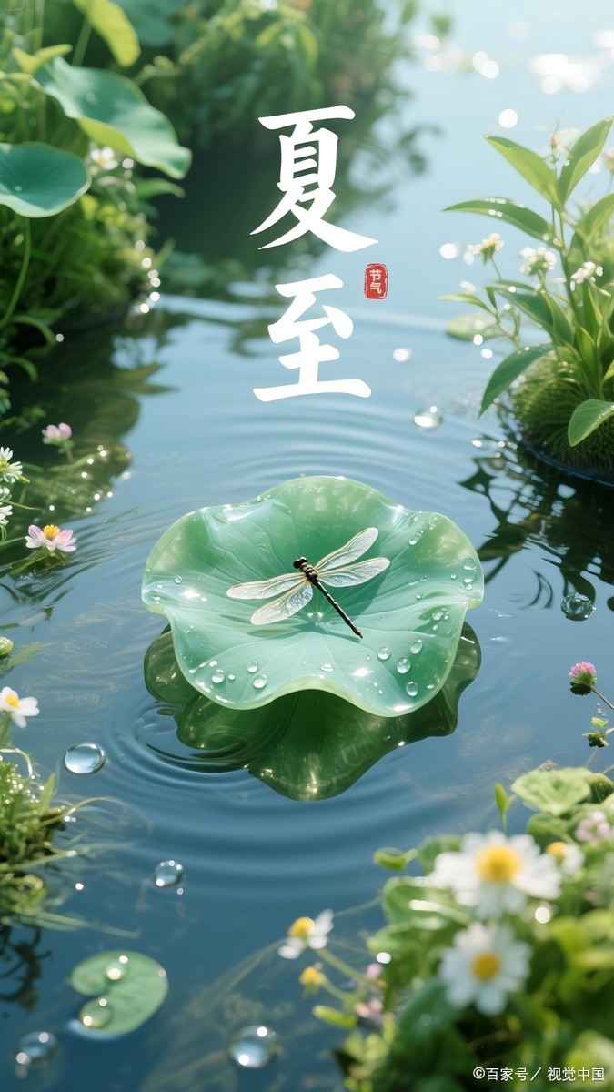 夏至职业女性艾灸方案