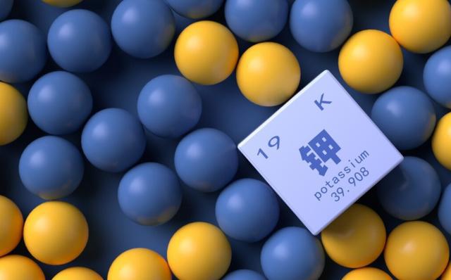 夏天出汗多,不妨常吃3种高钾菜,增强体质身体棒,健康过夏天