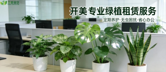 绿植租赁这个行业怎么样