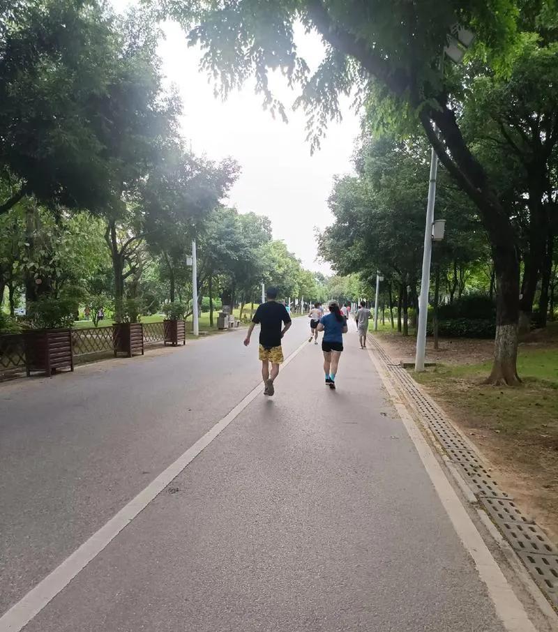 夏天跑步要拼汗水还是拼命?专家新建议引争议