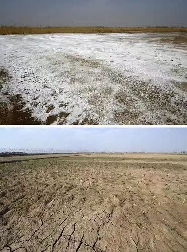 从兰考的地域特征看盐碱地的治理 文/胡殿津