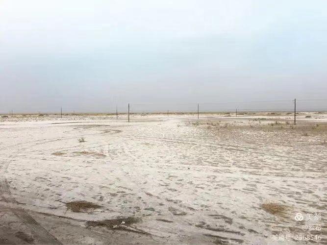 从兰考的地域特征看盐碱地的治理 文/胡殿津