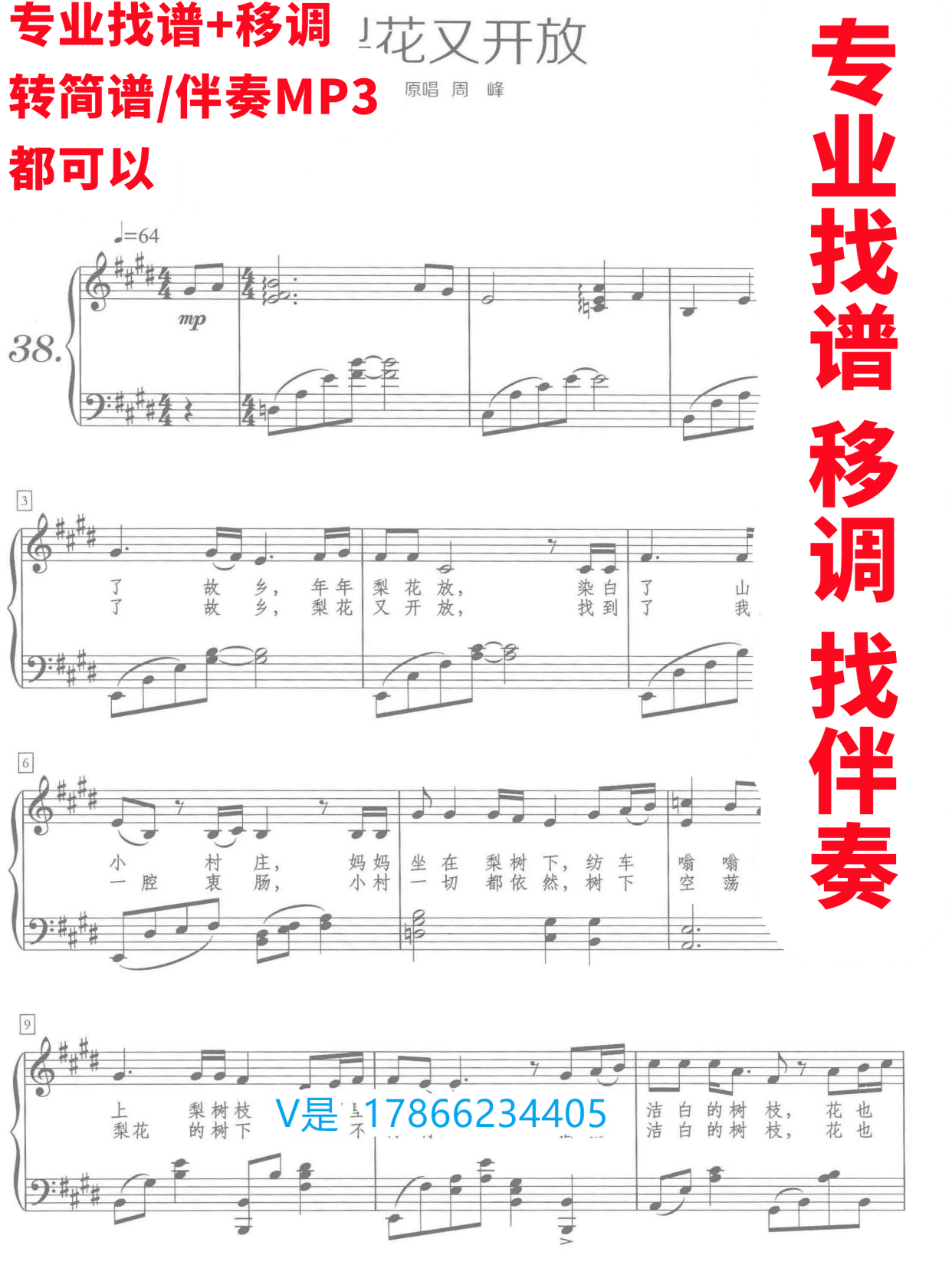 梨花又开放正谱移调弹唱谱