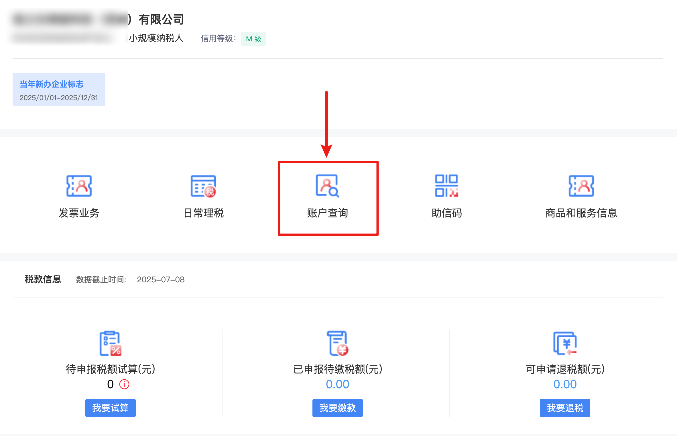 税务数字账户查询