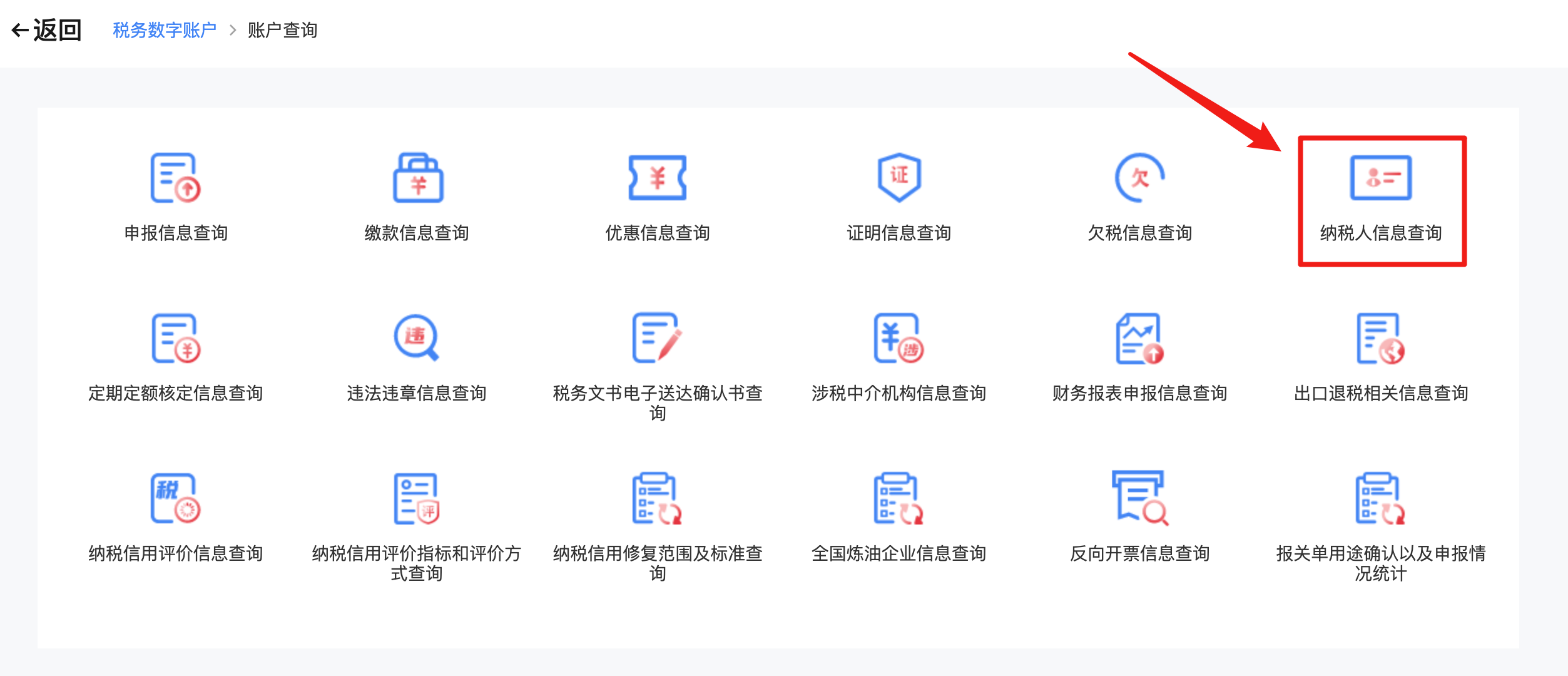 纳税人信息查询