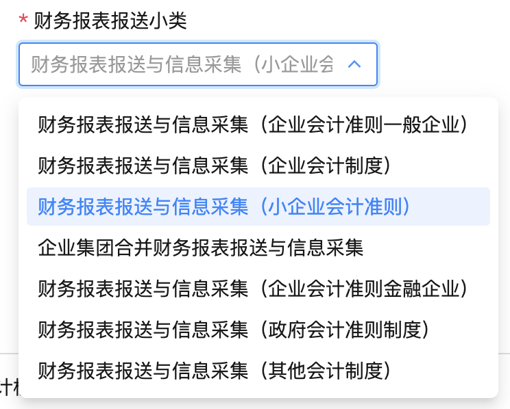 财务报表报送小类