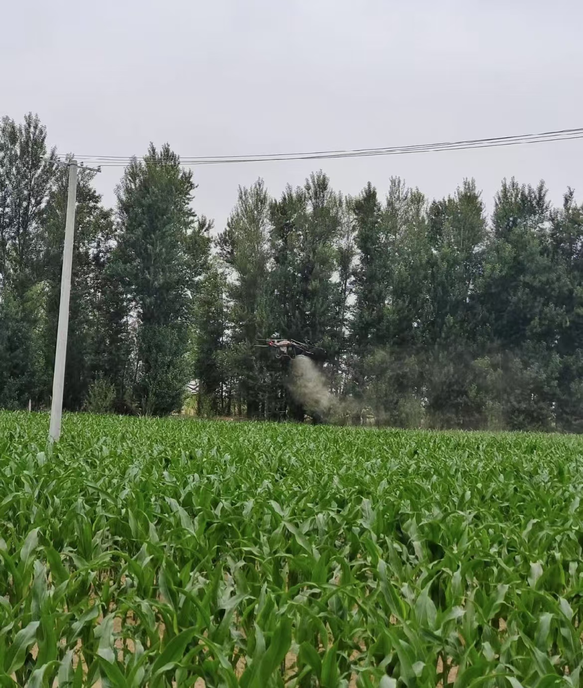 信阳市无人机植保打药服务 农药喷洒新姿势:躺着看无人机跳广场舞!