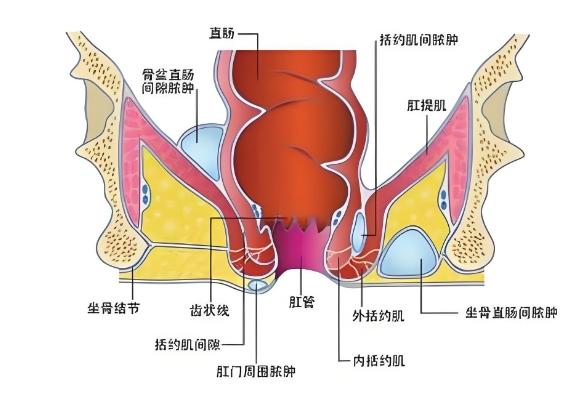 北京复兴路门诊中医肛肠赵天晖治疗肛裂怎么样