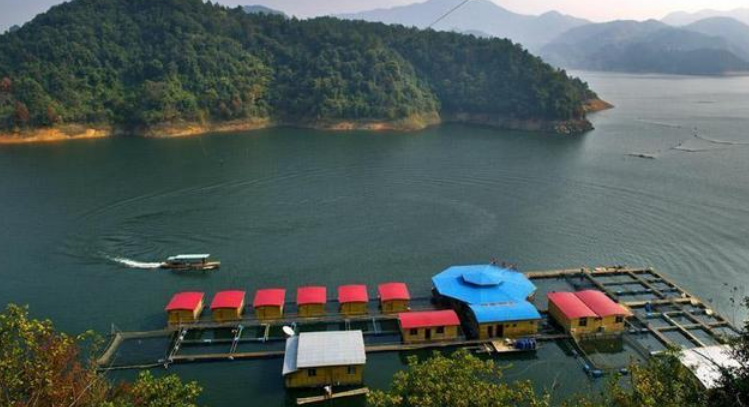 枫树坝水库简介和旅游美食