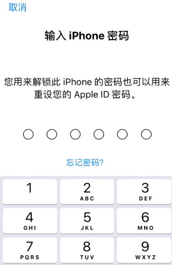 苹果手机如何改id密码(苹果手机改id密码怎么改)