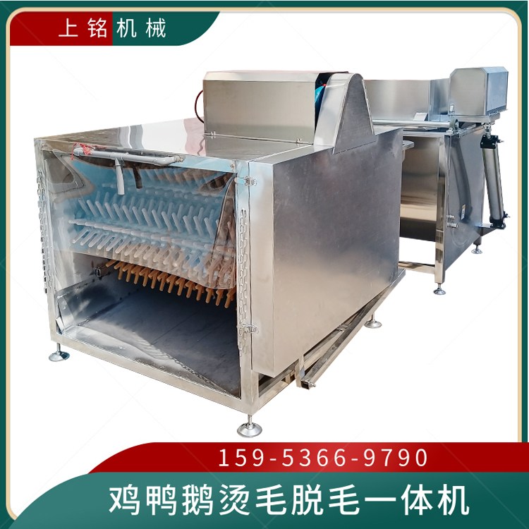 宰鸡全自动烫毛脱毛一体机 鸡拔毛机