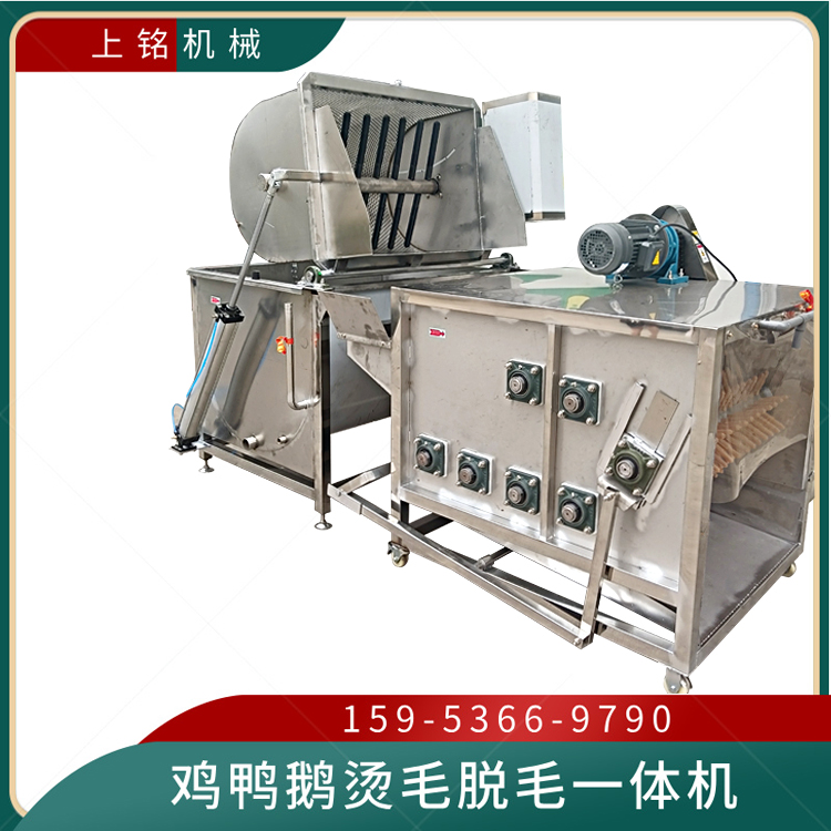 宰鸡全自动烫毛脱毛一体机 鸡拔毛机