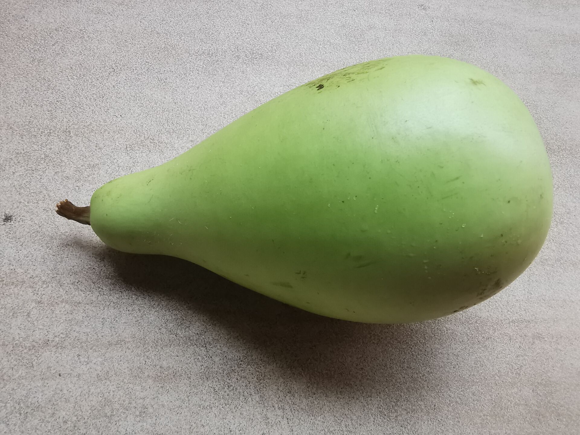 葫芦瓜:营养丰富,对肠道好且有多种益处,但要注意食用禁忌