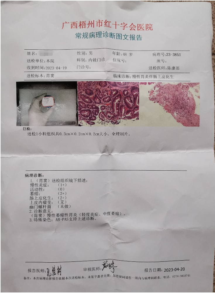 双双逆转,萎缩性胃炎伴肠化,中度变轻度!