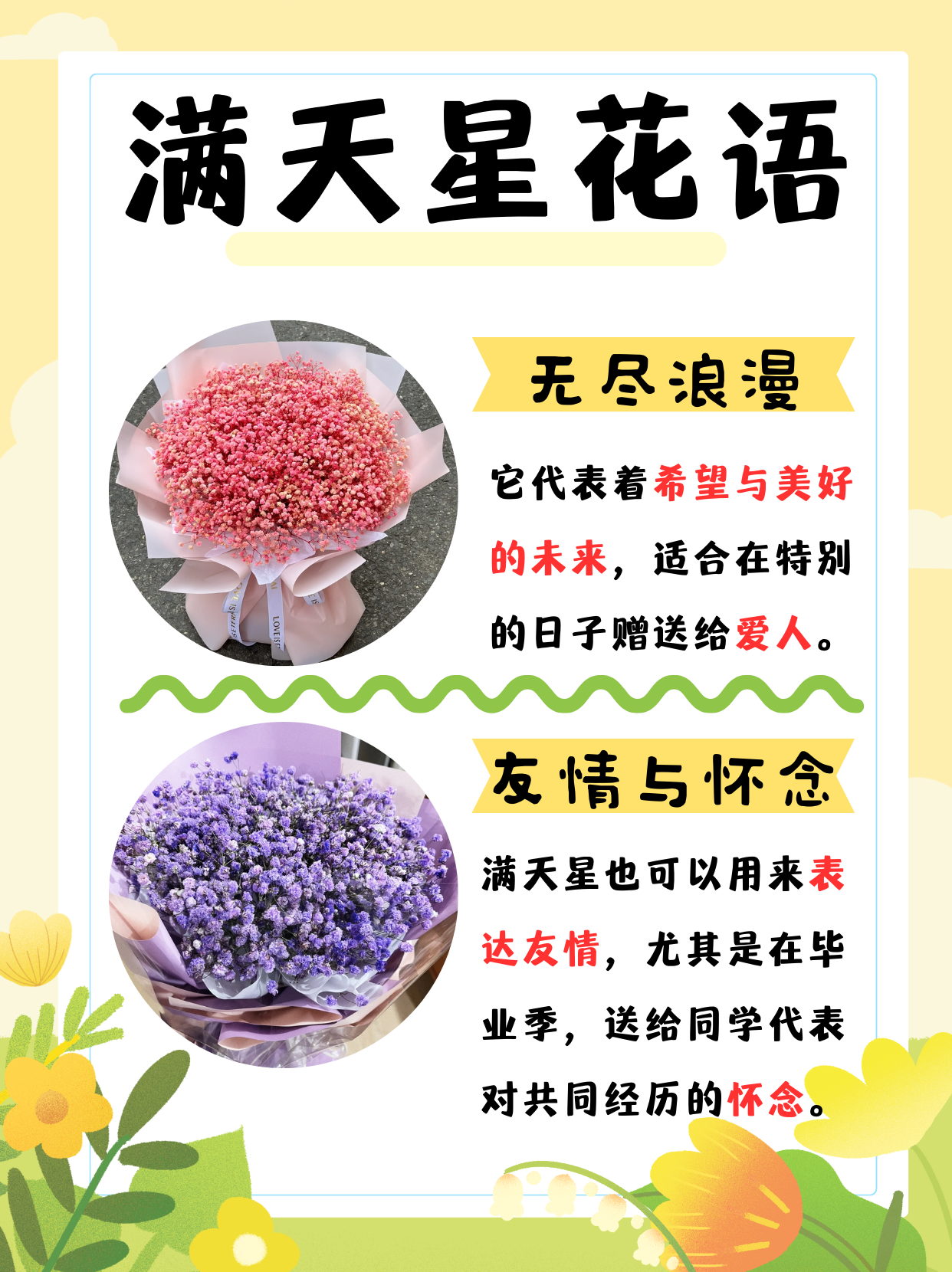 你知道满天星的花语和寓意是什么吗?快来一起揭秘!