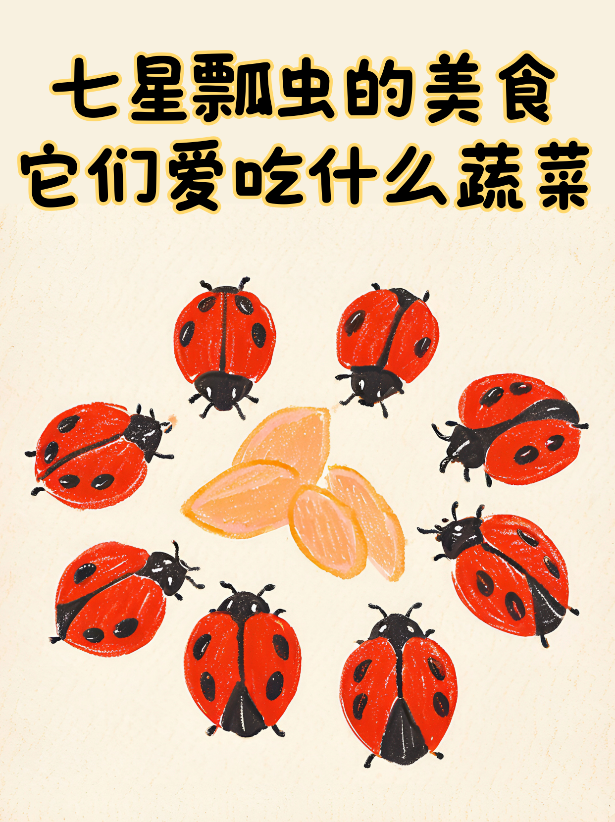 七星瓢虫的美食:它们爱吃什么蔬菜?