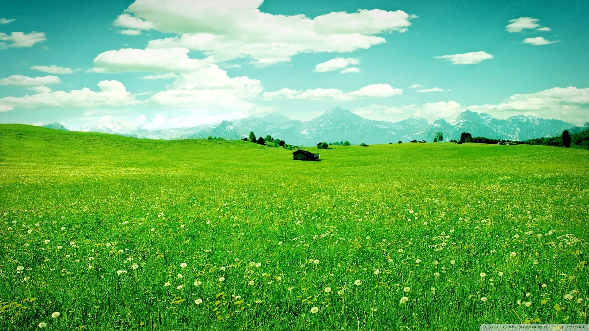 能让人落泪的几首词,让人感受失去后的痛苦,痛彻心扉