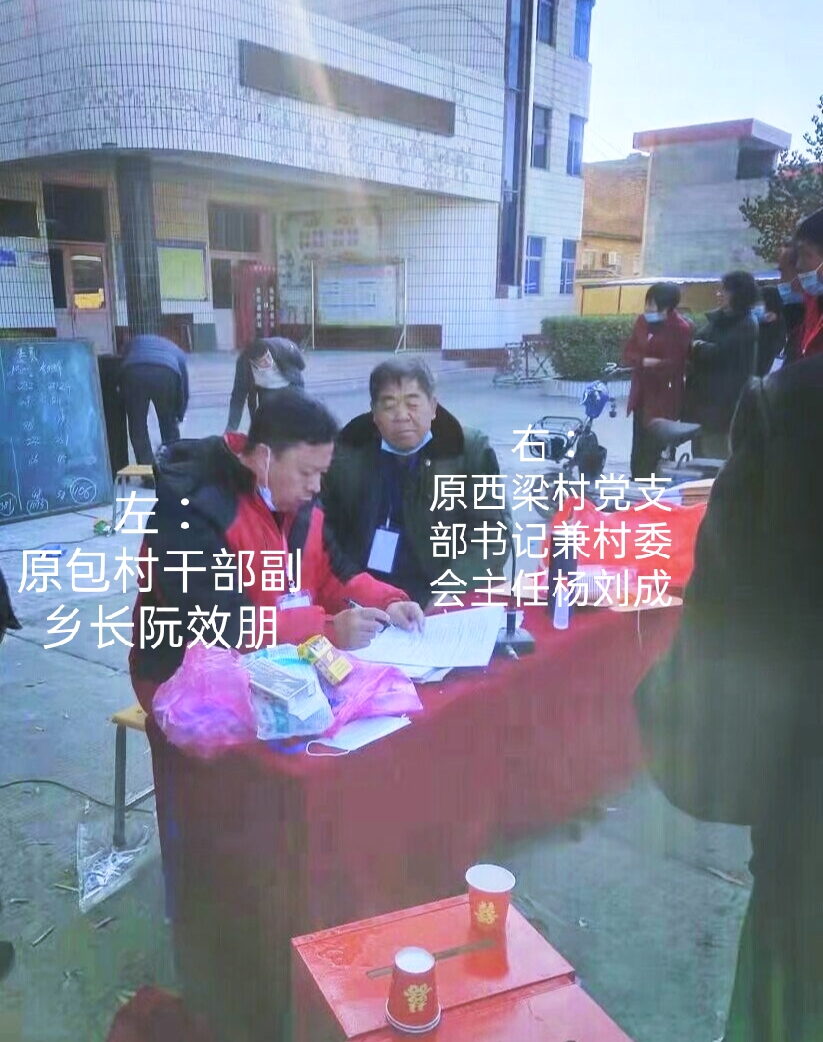 河津小梁图片