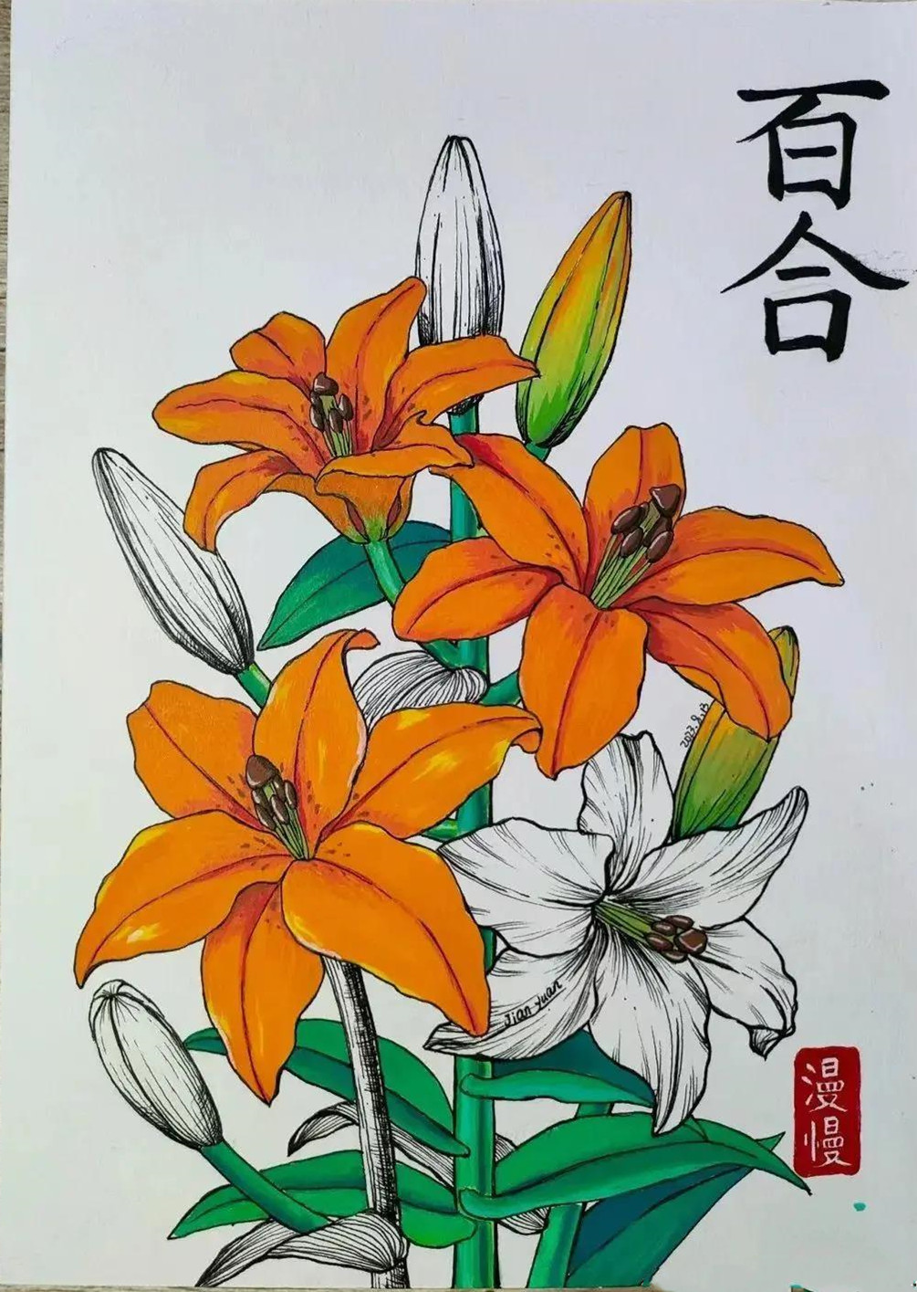 20张线描与色彩结合小画