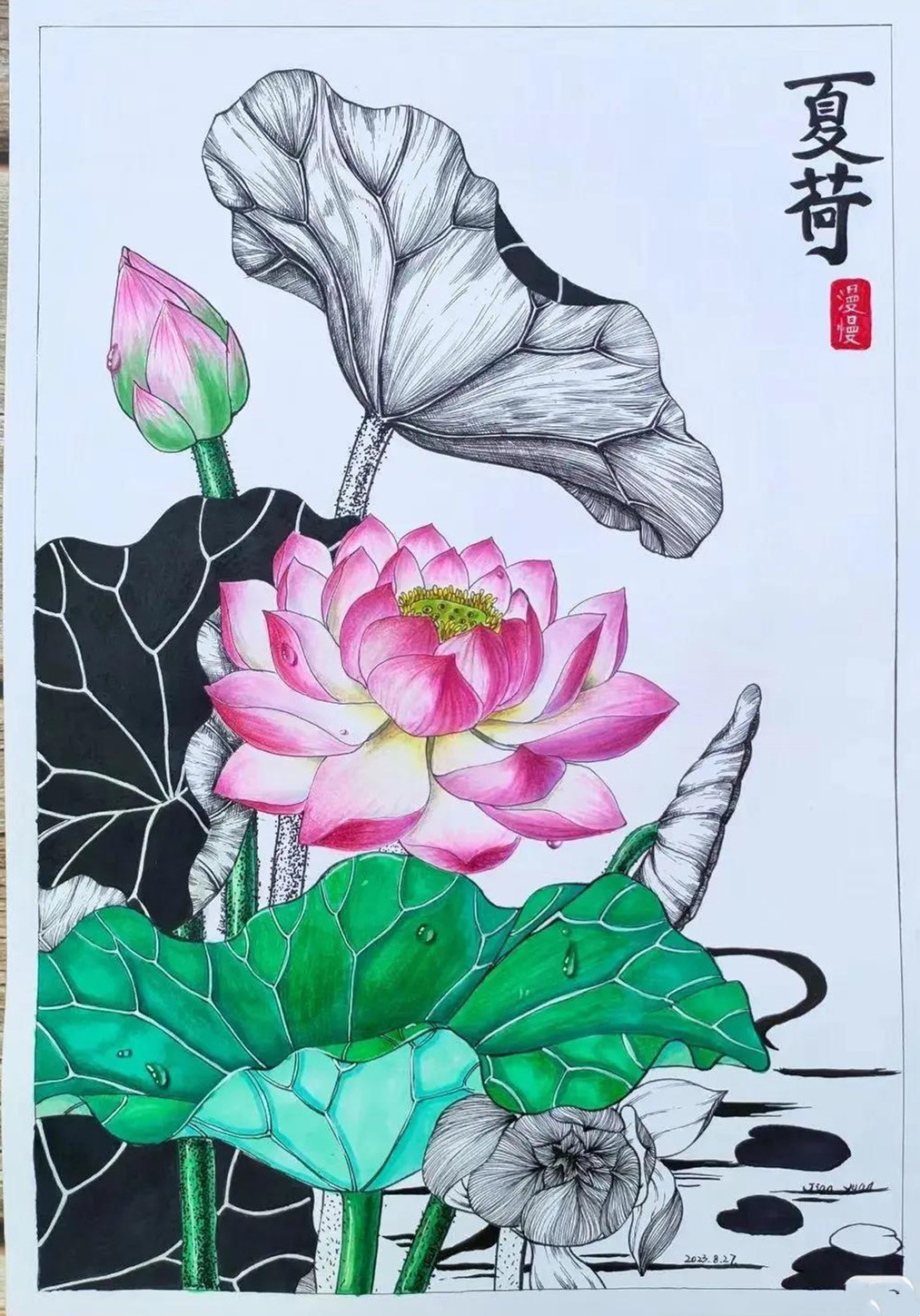 20张线描与色彩结合小画