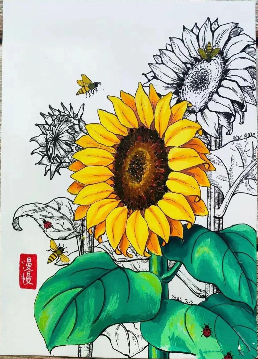 20张线描与色彩结合小画