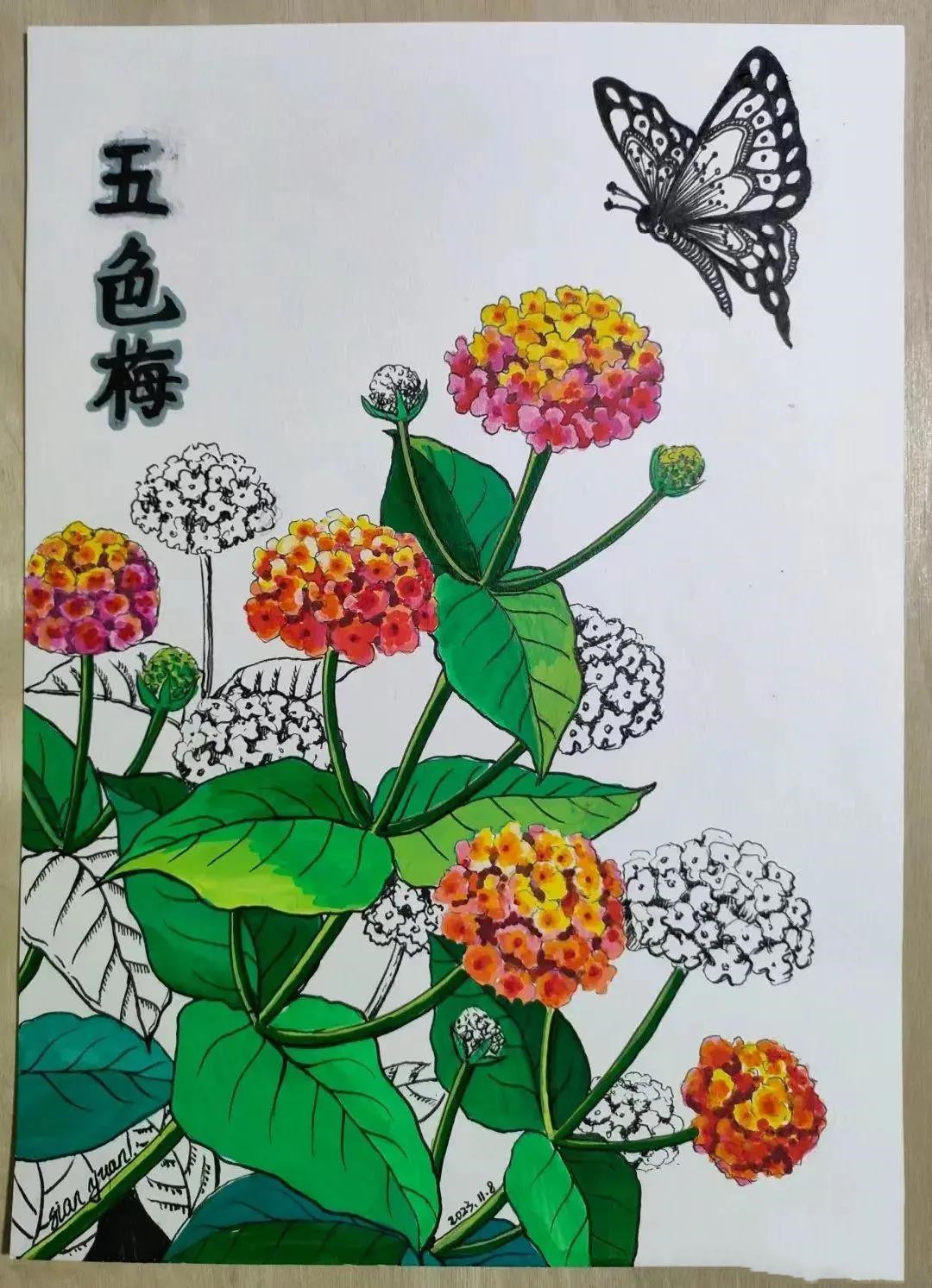 20张线描与色彩结合小画