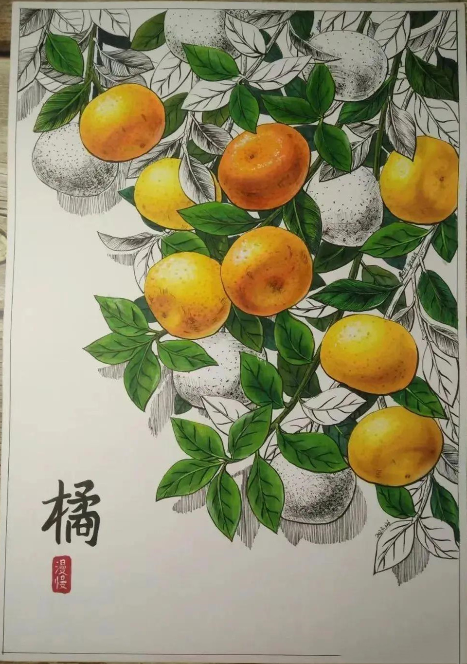 20张线描与色彩结合小画