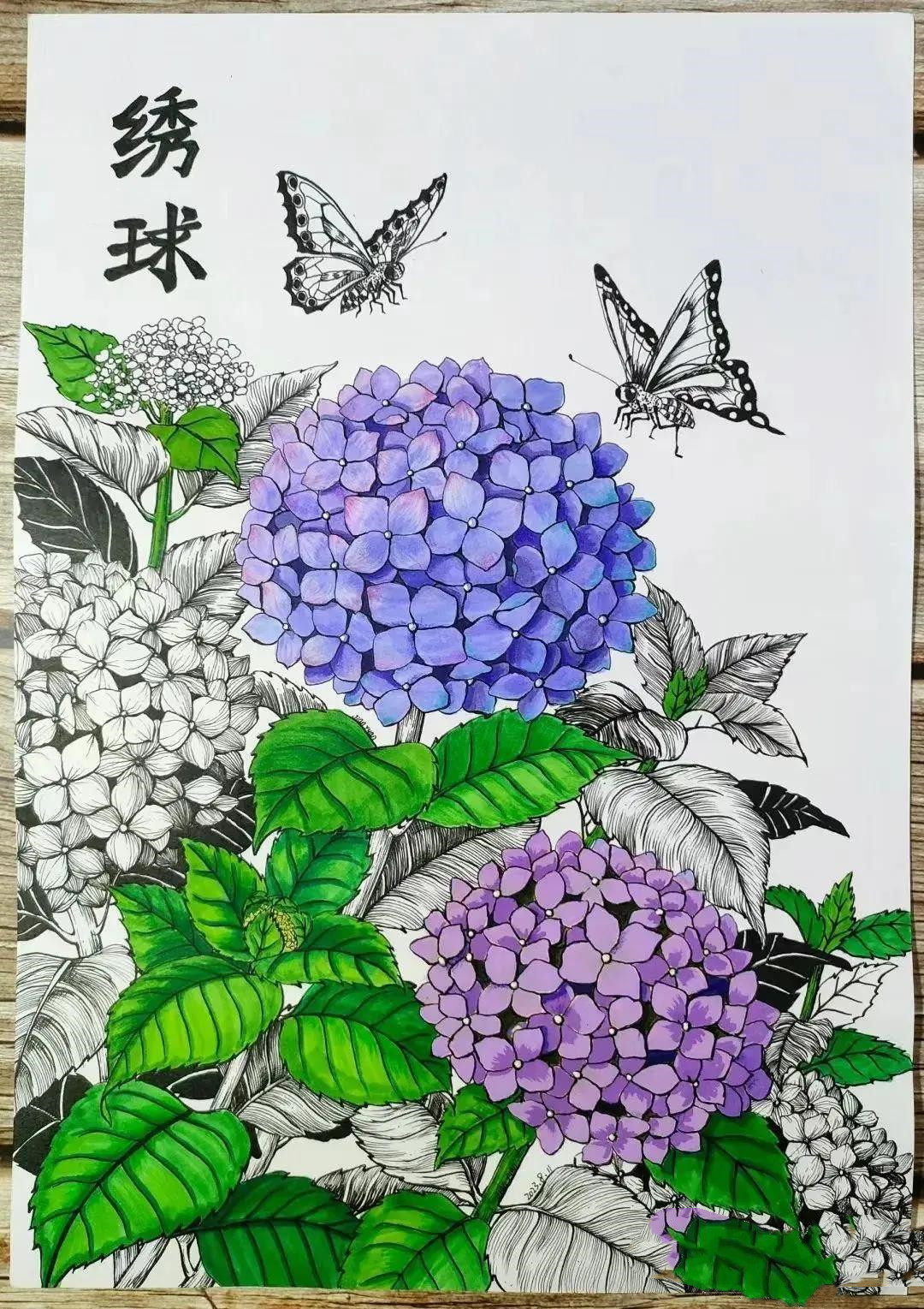 20张线描与色彩结合小画