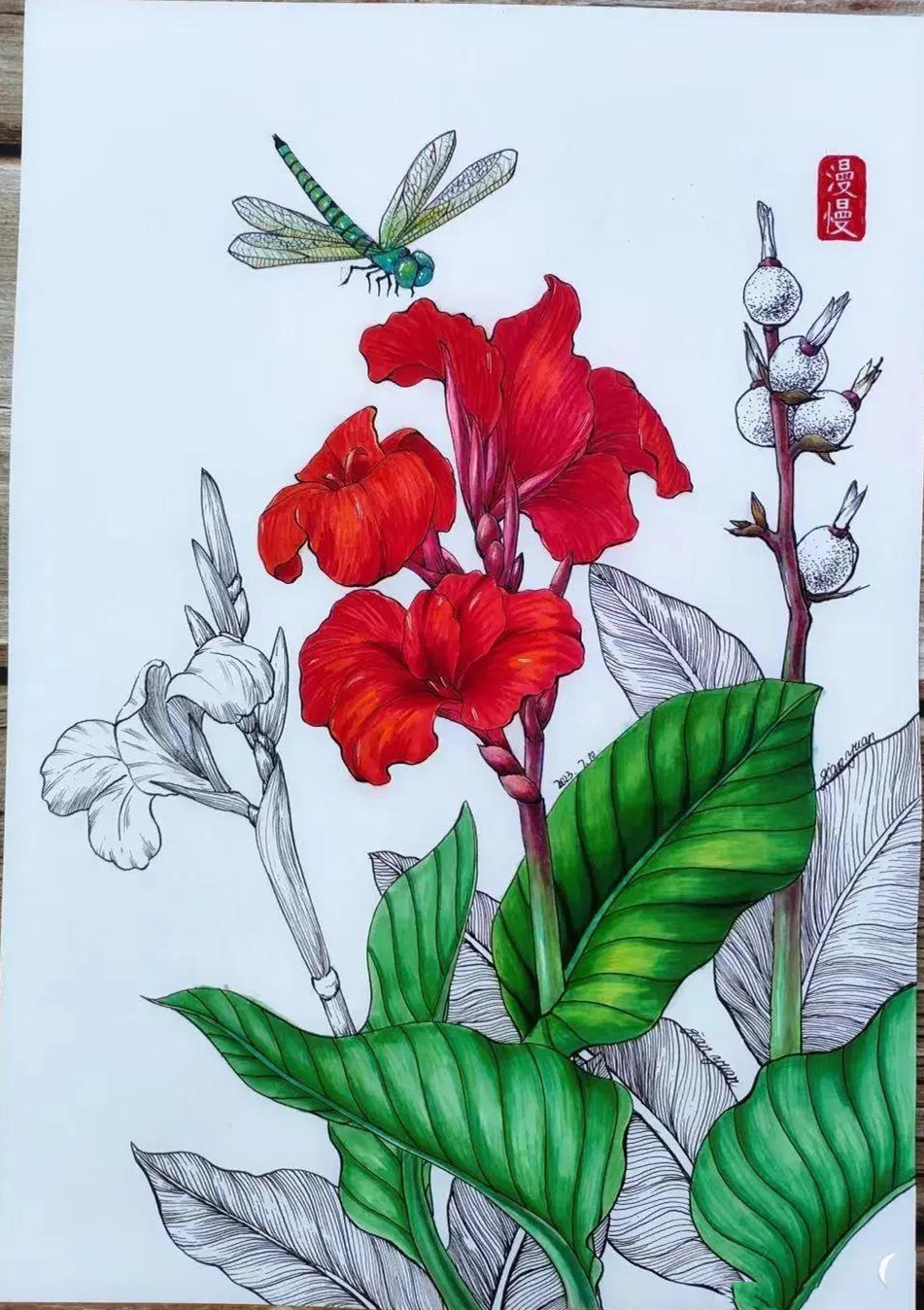 20张线描与色彩结合小画