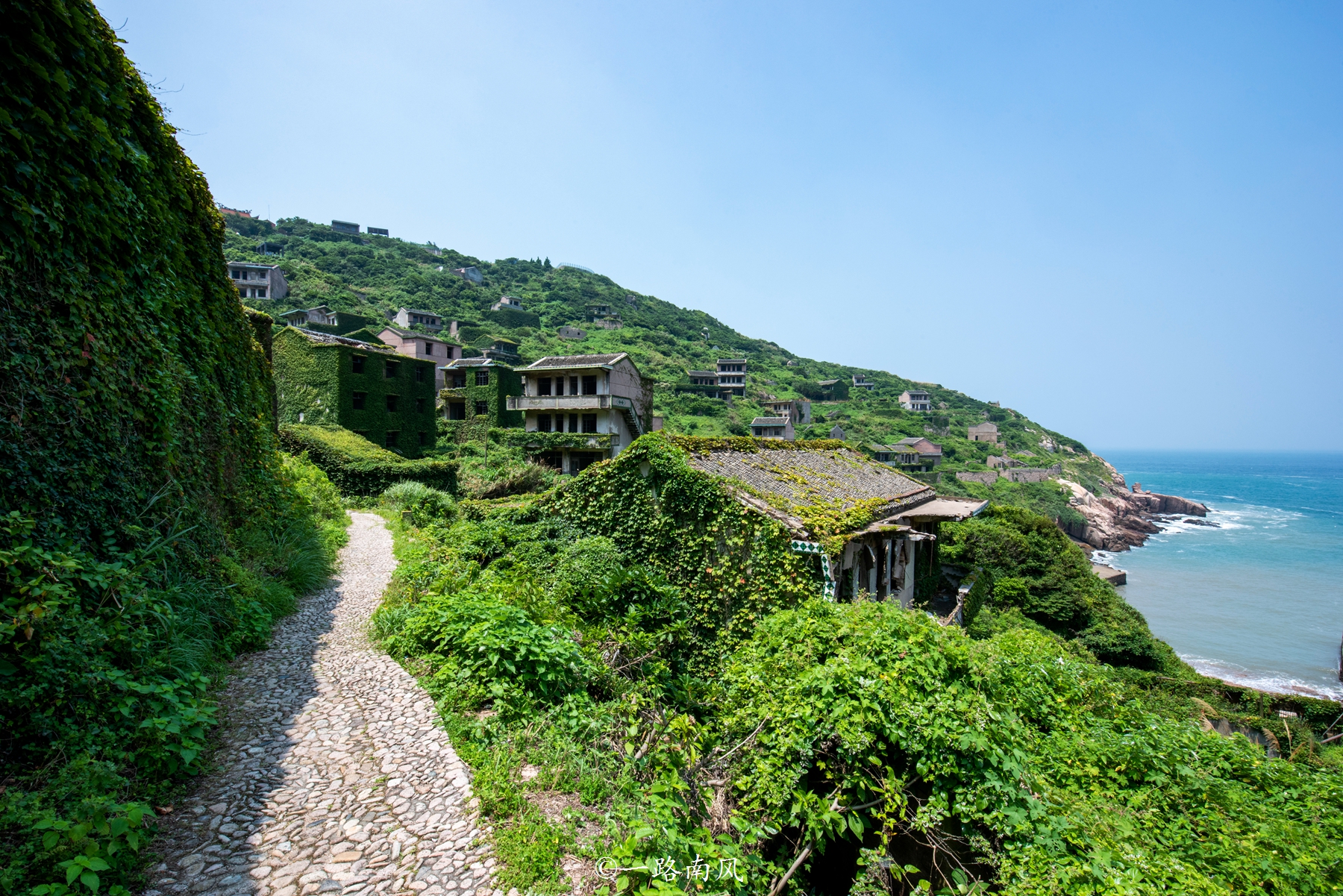 舟山神秘的无人村,虽然空无一人,但美成了绿野仙境