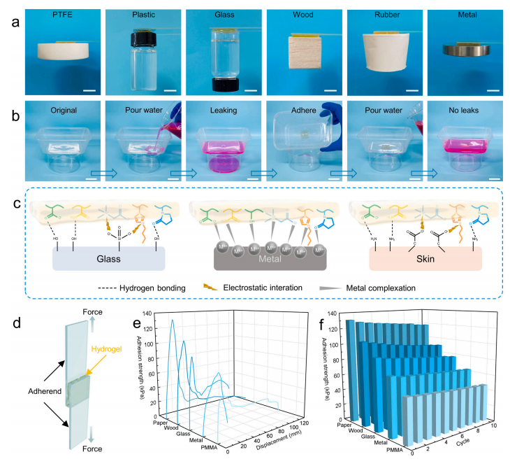 导电水凝胶作为应变传感器和极端环境下的柔性摩擦电纳米发电机