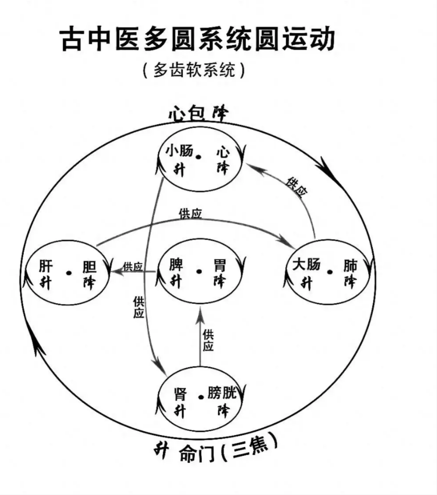 圆运动的古中医学