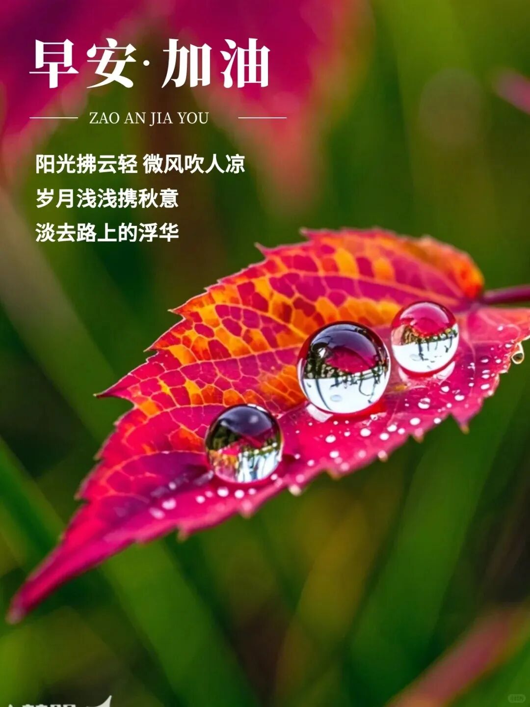 早安问候要有点生活味?14条烟火气短句暖心不刻意发圈被夸有温度