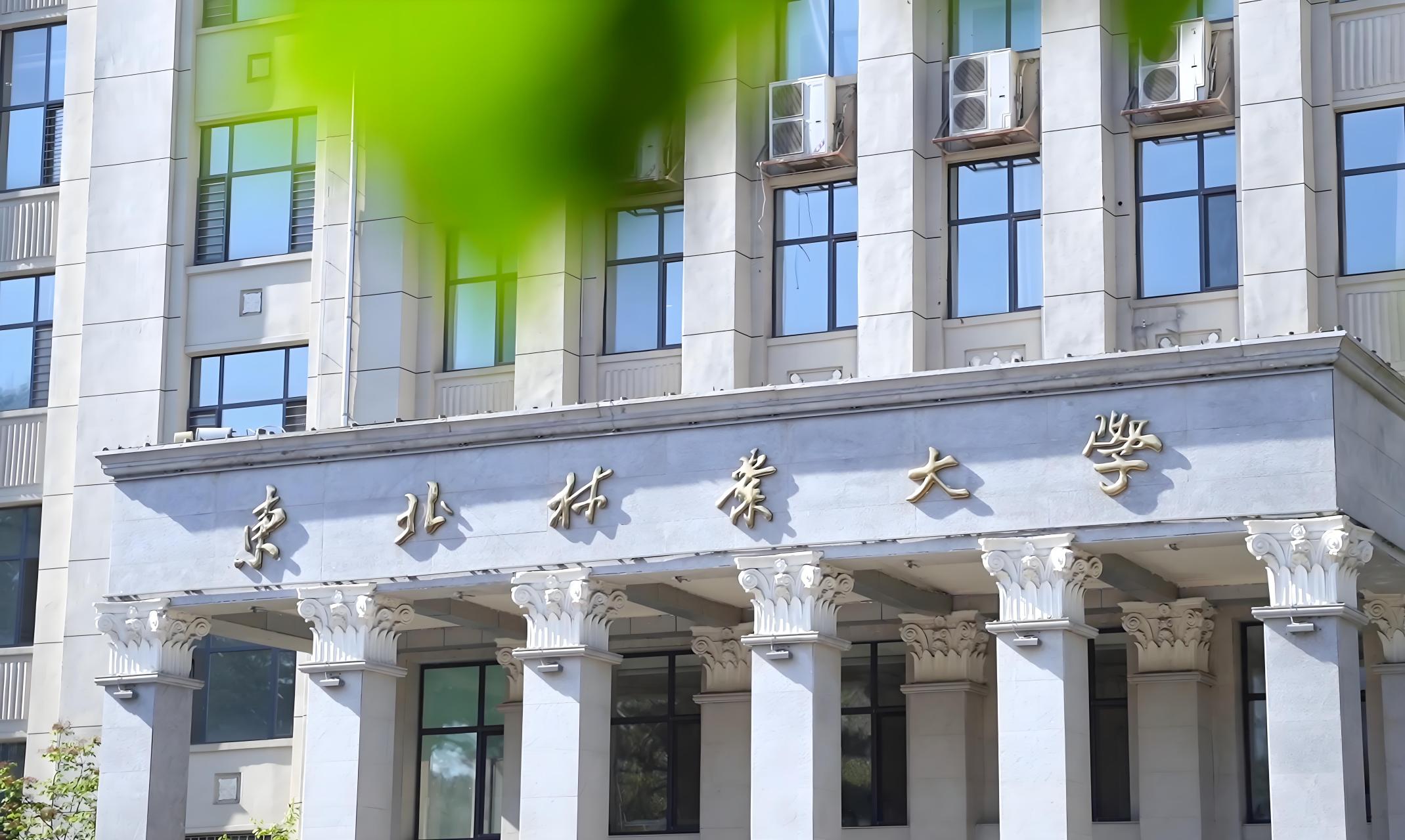 东北林业大学是985还是211