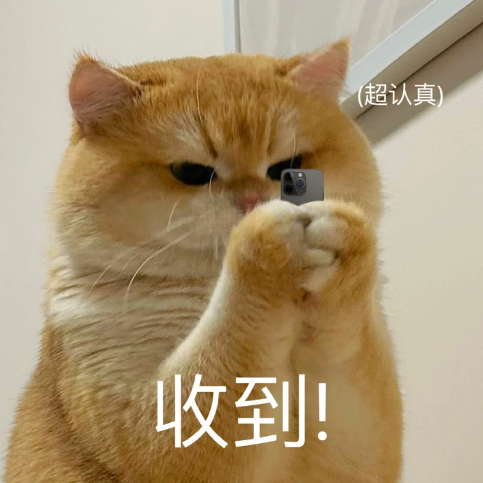 原来猫猫爱你