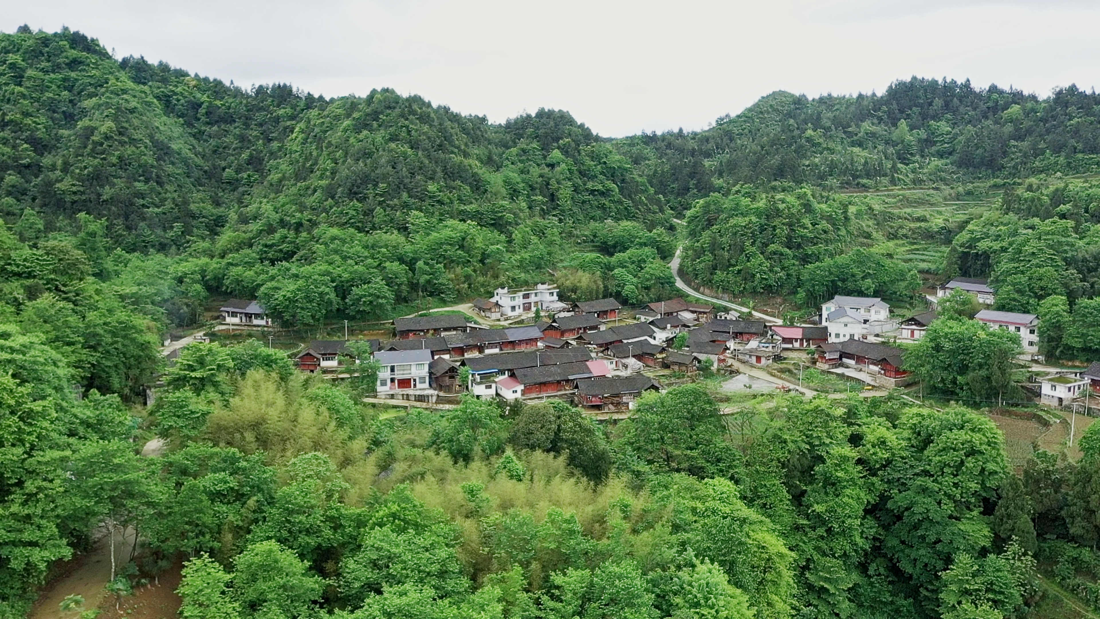 贵州省麻江县杏山镇图片