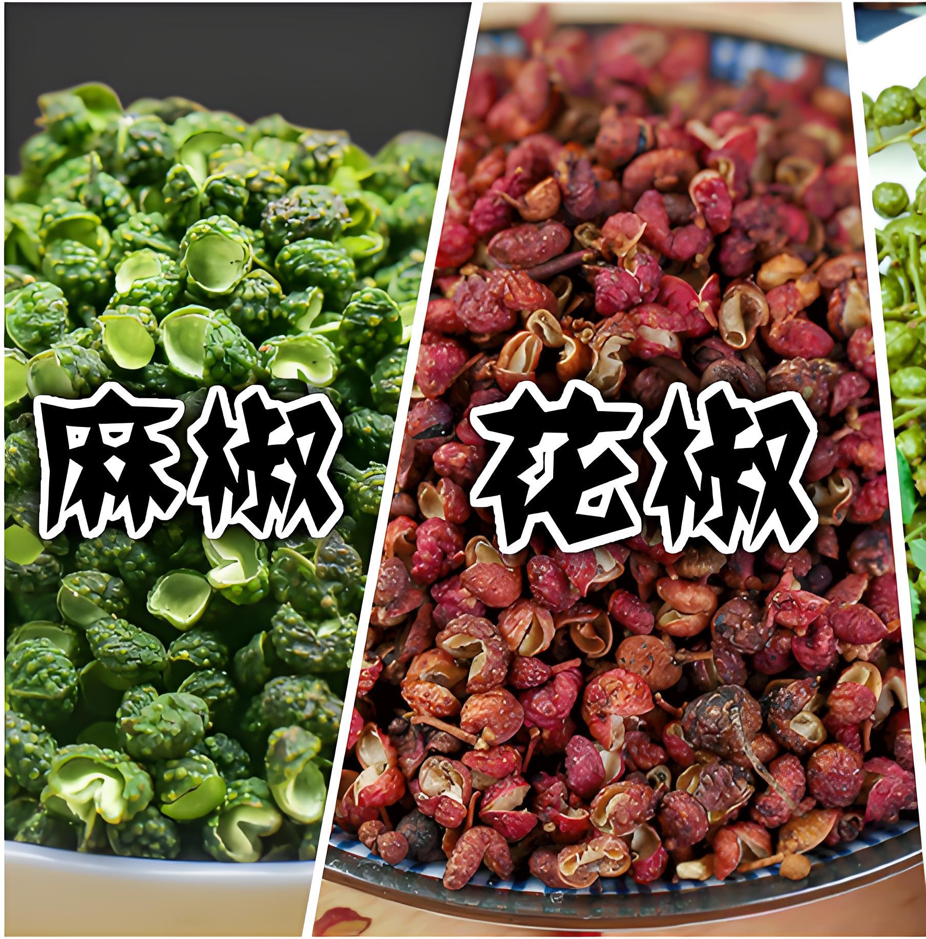 花椒和麻椒是一种东西吗?揭秘"椒"秘:花椒与麻椒,是敌是友?