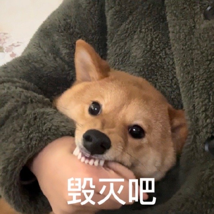 熊市保命指南:如何避免成为k线图上的烈士