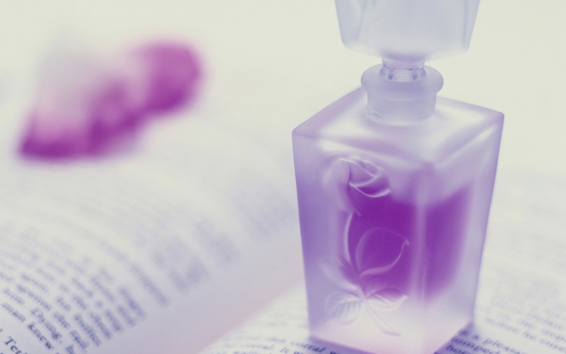 大名鼎鼎的四季"斩男香"│韦香主香水