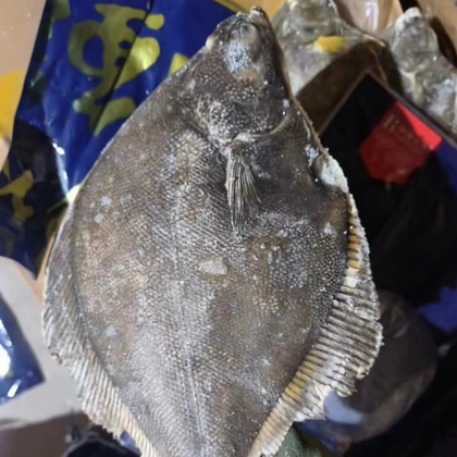 无刺鱼类,安全美味之选