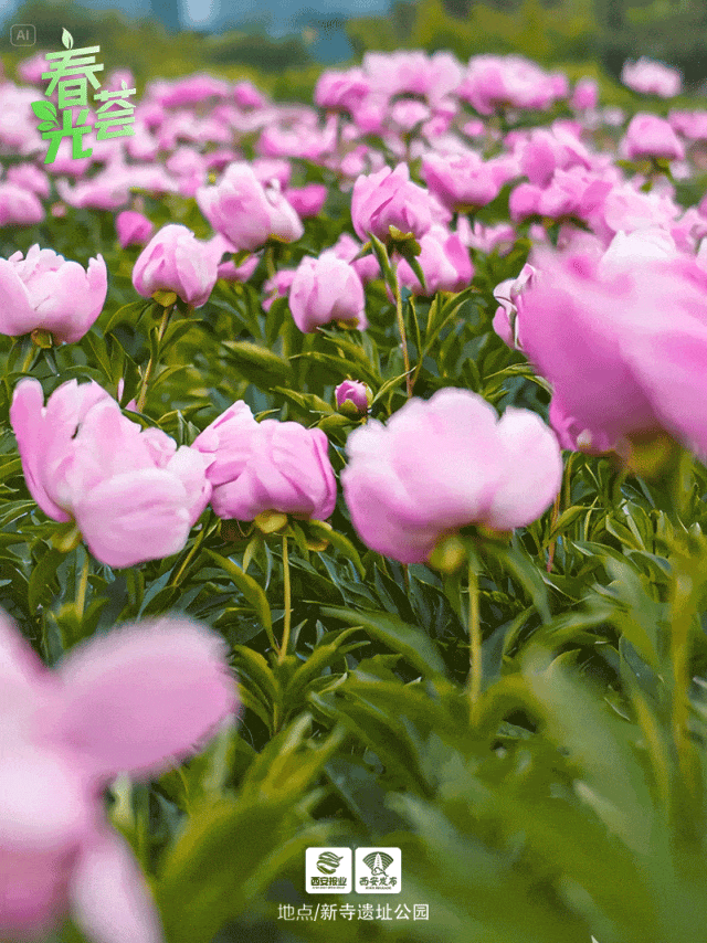 640_854竖版 竖屏gif 动态图 动图