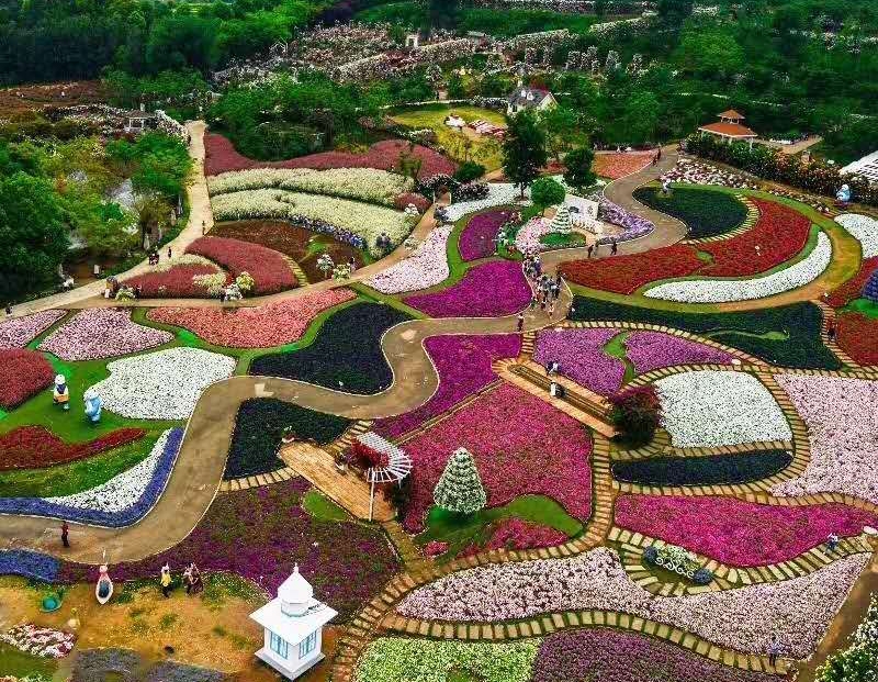 宿根花卉基地：美丽花园背后的生态秘密