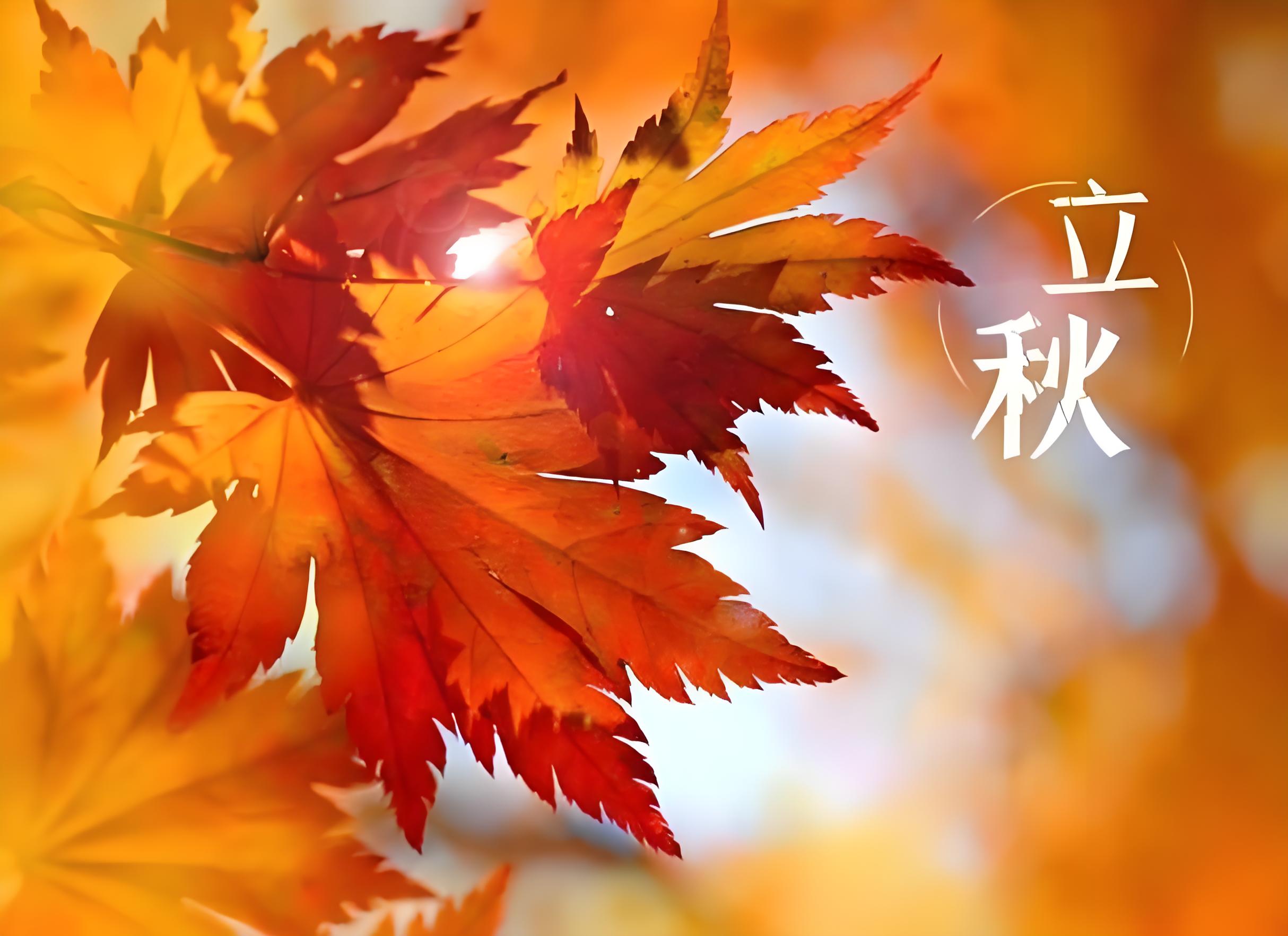 立秋:万物内敛 风景可期